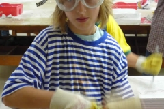 AGs2009013