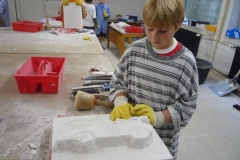 AGs2009029